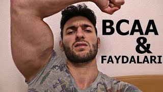 BCAA  FAYDALARI NELER  Vücüt geliştirme  Supplement  Protein  Amino asit Shredded Brothers [upl. by Ixel821]