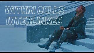 Within Cells Interlinked  Bladerunner 2049 Edit [upl. by Postman]