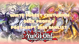 My White Forest CenturIon Deck Profile POST Sep 2024 Yugioh Banlist [upl. by Yrad]