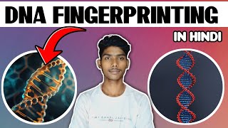 DNA fingerprinting  class 12th Biology  Board exam 2025 [upl. by Neelasor]