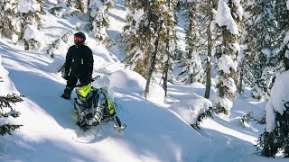 SNOWMOBILE TREERIDING POWDER AND BLUE SKY IN MONTSGROULX CANADA  TRENCHERS [upl. by Nylodnarb]