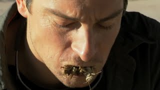 Bear Grylls eats a bug pate  Man vs Wild Disgusting Eats [upl. by Eirelam]