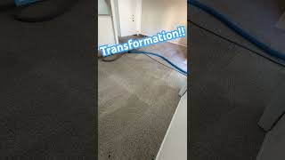 Carpet Transformation Time Lapse [upl. by Rehptsirhc783]