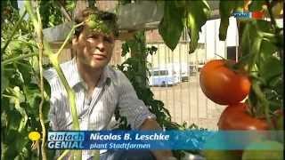 Biokost aus der Stadtfarm  MDR Einfach genial  25092012 [upl. by Kitchen]