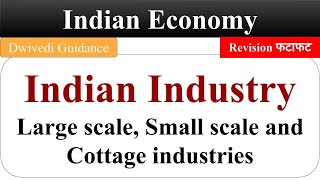 Indian Industry Large Scale Industries Small Scale Industries Cottage Industries Indian Economy [upl. by Ebony959]