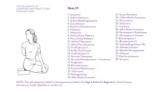 Week 27 Learning and Practicing Iyengar Yoga for Beginners [upl. by Irroc593]