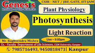 Photosynthesis  Light Reaction  Plant Physiology  CSIR NETJRF  IITJAM [upl. by Berna]