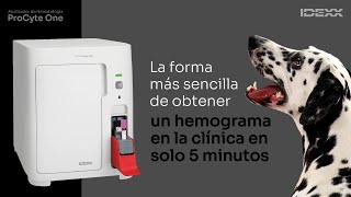 IDEXX ProCyte One  Analizador de Hematología Veterinaria [upl. by Idner]