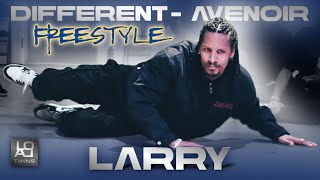 Larry  Les Twins  Different  Avenoir [upl. by Yrogreg]