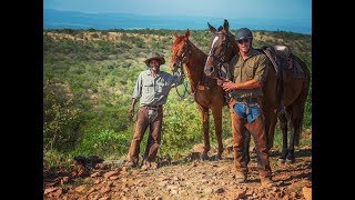 Horse Riding Safari at The Ant Collection [upl. by Nnaed]