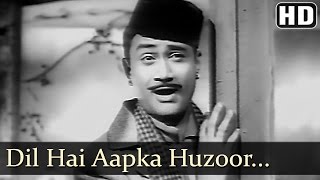 Dil Hai Aapka Hujur  Dev Anand  Madhubala  Jaali Note  Bollywood Old Songs  OPNayyar [upl. by Elsinore]