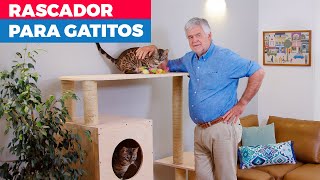 Cómo hacer un rascador para gatos [upl. by Grube]