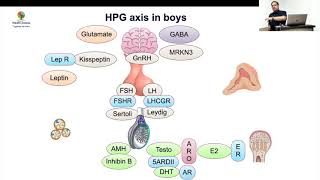 MedEClasses Grand Round Precocious Puberty in Boys [upl. by Llirred540]