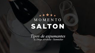 Tipos de espumante com Diego Arrebola  Sommelier  Momento Salton 1 [upl. by Cocks88]