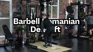 Barbell Romanian Deadlift Tutorial [upl. by Mulac]