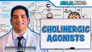 Autonomic Pharmacology  Cholinergic Agonists [upl. by Yale]