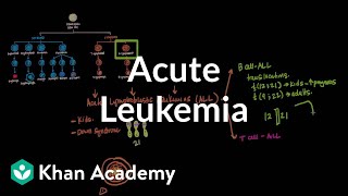 Acute leukemia  Hematologic System Diseases  NCLEXRN  Khan Academy [upl. by Stefa935]