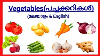 Vegetables for kidsVegetables name in malayalam and englishപച്ചക്കറികൾvegetables in malayalam [upl. by Arretak]