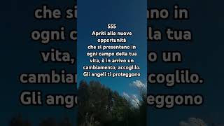 NUMERO ANGELICO 555 viralvideo spirituality shorts ytshorts [upl. by Llerod]