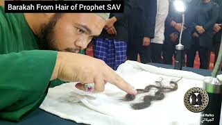 Hair of Prophet ﷺ ❤️  The Gilani Sacred Relics Official youtube youtubevideo viralvideo [upl. by Christal285]