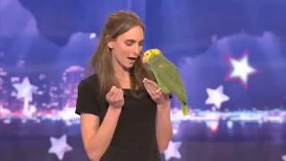 America’s Got Talent Parrot singing over the rainbow [upl. by Hayilaa]