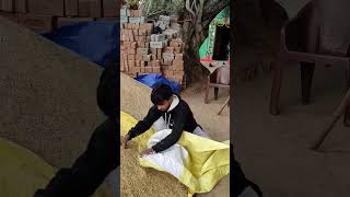 भारी मिस्टेक होगे 🤣🤣🤣 cgtrending comedy cgcomedy funny cgshorts [upl. by Bury]