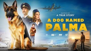 A Dog Named Palma Full Movie Hindi Dubbed Facts [upl. by Greer]