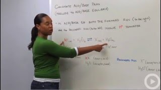 Conjugate Acids and Bases [upl. by Cad]