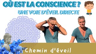 Une voie directe d’éveil  où est la conscience [upl. by Kcirtapnaes699]