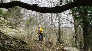 12022024 Tolfa Rm Necropoli e monte acqua tosta [upl. by Lazar803]