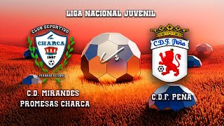 🔴EN DIRECTO CD MIRANDÉS PROMESAS CHARCA  CDF PEÑA Liga Nacional Juvenil [upl. by Nuhsal]