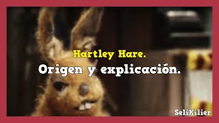 ¿QUIEN ES HARTLEY HARE  Hartley Hare Pipkins  Historia y Curiosidades [upl. by Nagrom]