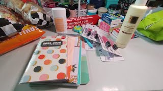 New Dollar Tree Haul  New 2025 Planners  New Items All 125 [upl. by Ponzo190]