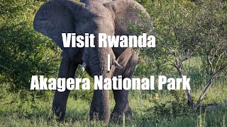 Visit Rwanda  Akagera National Park [upl. by Raviv]