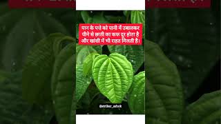 पान के पत्ते के फायदे betelleaf paan strikerguruji shorts healthtips healthadvice [upl. by Meldon898]