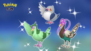 ✨Pidove Spotlight Hour Then Zacian Raids ✨ Shiny Luck Pokemon Go pokemon pokemongo pokémongo [upl. by Nnazil]