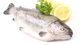 cooking Lunch  Rainbow Trout 🦈 and Salad 🥗 [upl. by Rella252]