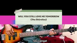 Will You Still Love Me Tomorrow The Shirelles bass only [upl. by Ruthe]