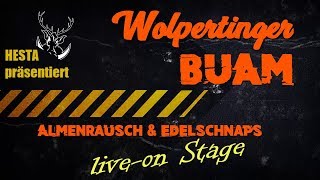 WolpertingerBuam  Almenrausch amp Edelschnaps official clip [upl. by Ylrebmit]