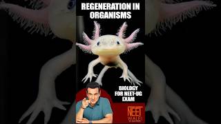 Regeneration In Organisms  Difference BW Fragmentation and Regeneration  Biology for NEET  neet [upl. by Suirred385]