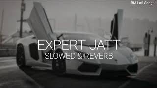 Expert Jatt  SlowedReverb  RM Lofi Songs [upl. by Chicky644]