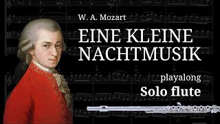 PLAYALONG  Eine Kleine Nachtmusik  solo flute [upl. by Terpstra552]