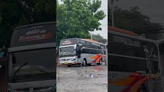 😇 busmania bismania bismaniacommunity storybus storybusmania pondokpinang nresnani shorts [upl. by Nason]