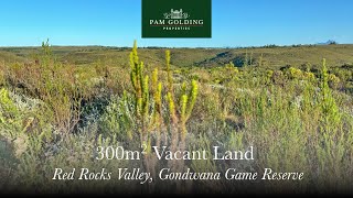 300m2 Vacant Land for sale in Red Rocks Valley Gondwana Game Reserve  Pam Golding Properties [upl. by Harshman]