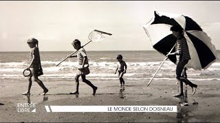 Le monde selon Doisneau [upl. by Aizatsana891]