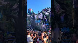 Tomorrowland 2024 BELGIUM 🇧🇪✨🎉 STAGES FIREWORKS tomorrowland boom dj music party belgium [upl. by Bocyaj330]