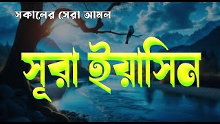 সূরা ইয়াসিন মন জুড়ানো তেলাওয়াত প্রতিদিন সকালে শুনুন l Yaseen l Recited by Alaa Aqel [upl. by Valentia]