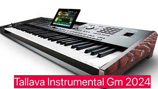 Tallava INSTRUMENTAL Gm 2024 [upl. by Otineb]