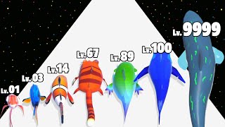 Fish Evolution Run  Level Up Fish Max Level Gameplay New Update [upl. by Alexei741]