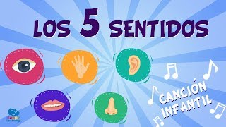 Los 5 sentidos  Canciones Educativas para Niños [upl. by Mateya230]